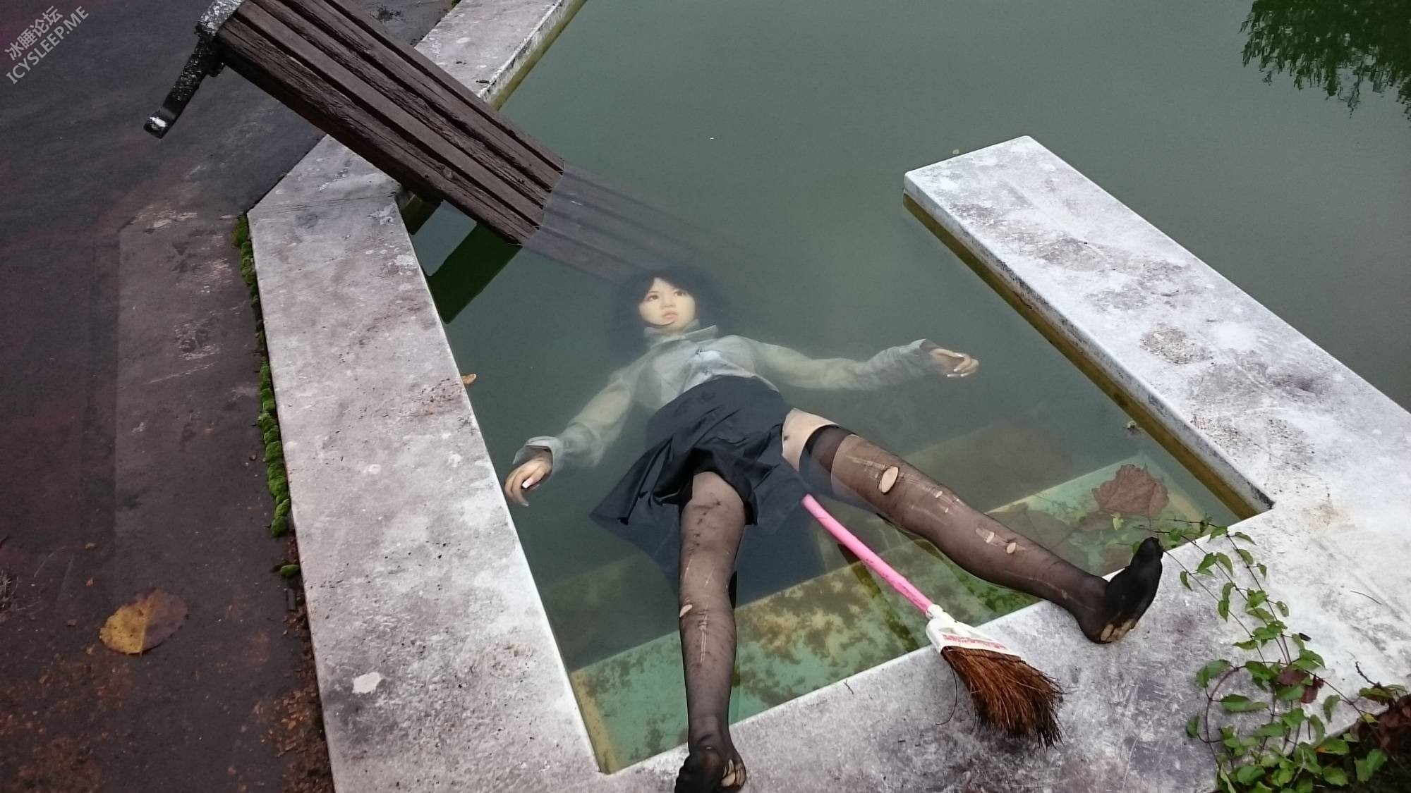img (6).jpg